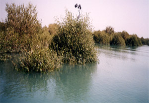 Qeshm, La Terre des merveilles