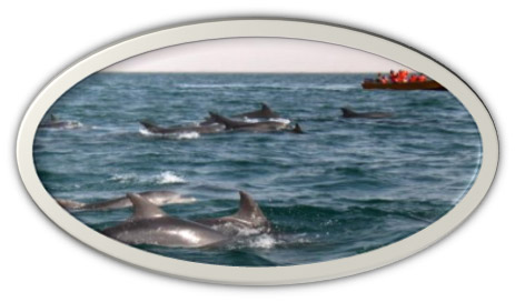 Qeshm